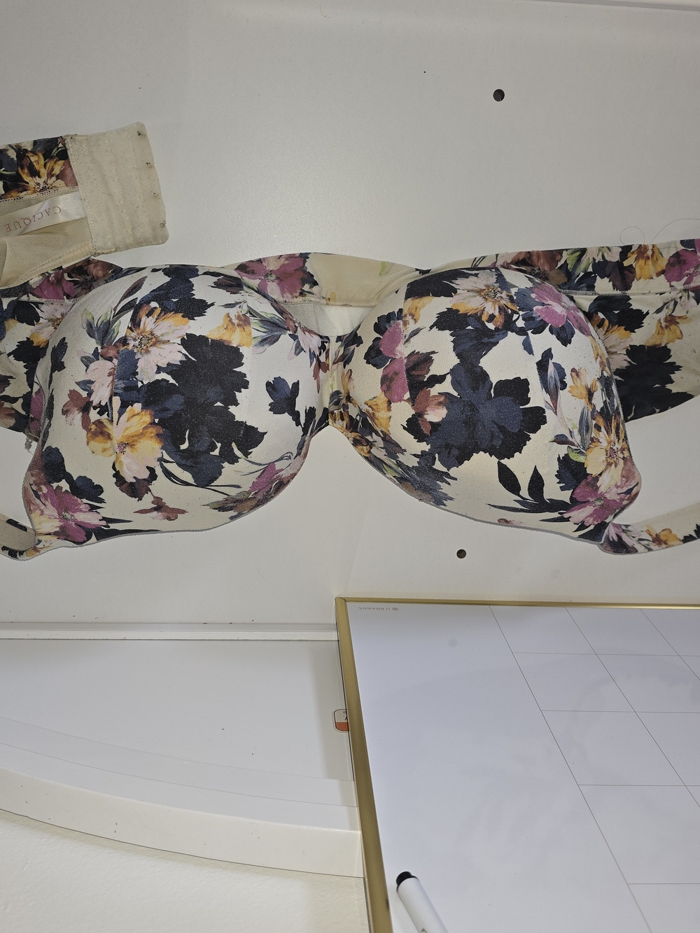 Floral Lane Bryant Bra